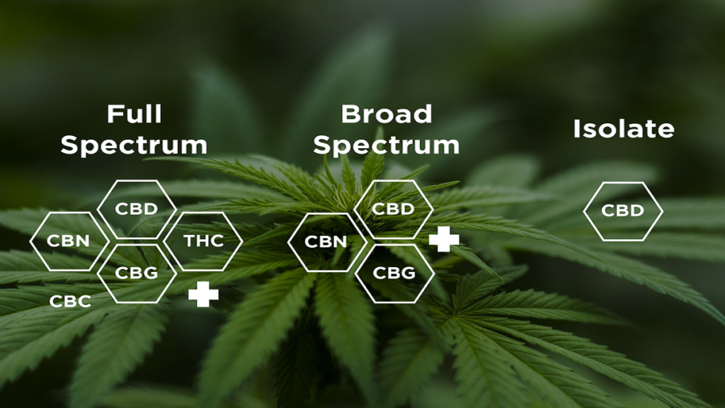 What Kind of CBD Is That Understanding Full Spectrum, Broad Spectrum, and Isolate